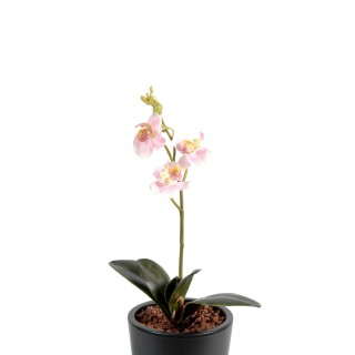 Künstliche Phalaenopsis Orchidee Pink 40cm