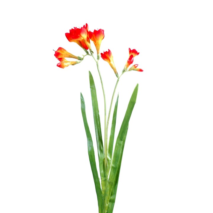 Lebensechte Freesie - Orange-Rot - 60 cm