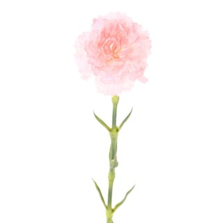 Künstliche Nelke Pink 55cm - Naturgetreue Kunstblume