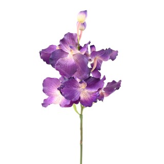 Exquisite Kunst-Vanda-Orchidee, Lila, 70cm Hoch