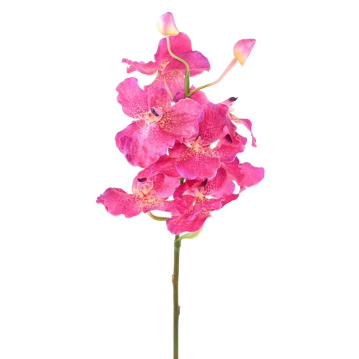 Künstliche Vanda-Orchidee - Pink, 70cm Hoch