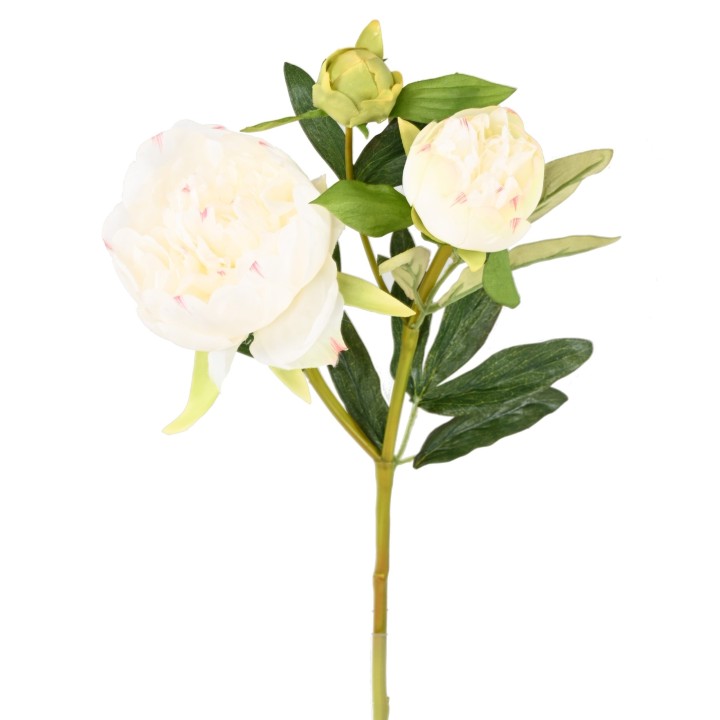 Kuenstliche Pfingstrose Weiss 50cm