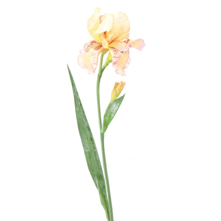 Künstliche Iris – Elegante Kunstblume in Creme/Lila – 70cm hoch