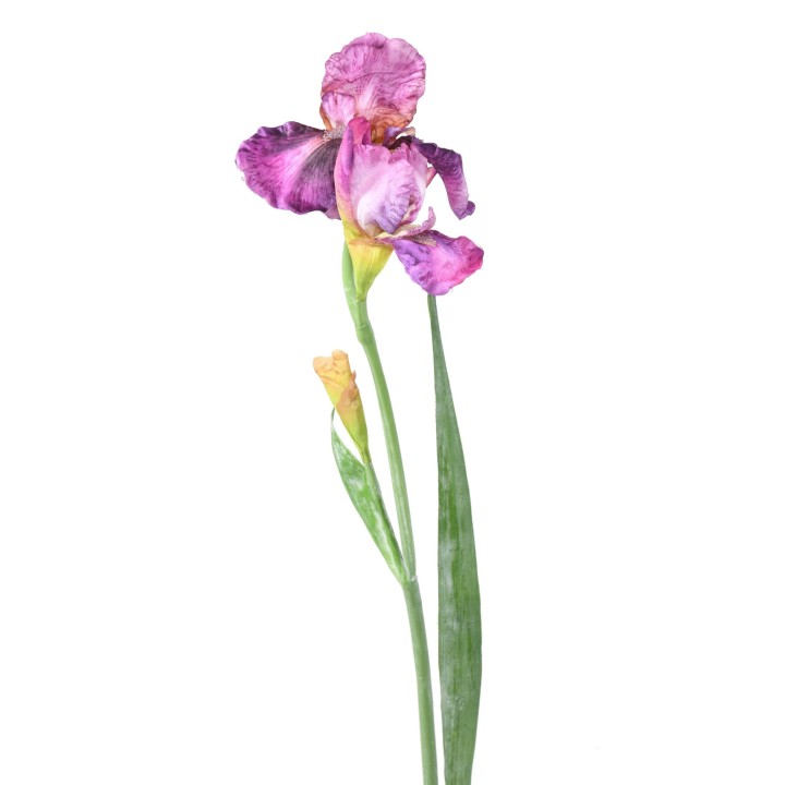 Künstliche Iris Lila – 70 cm Hoch, Pflegeleicht