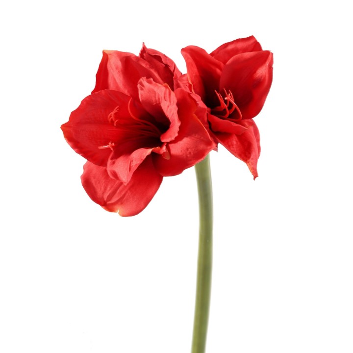 Elegante Kunst-Amaryllis Rot - 75 cm Pflegeleicht