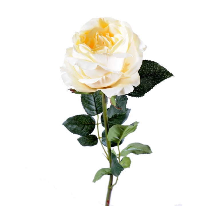 Künstliche Rose Creme 80cm - Pflegeleicht