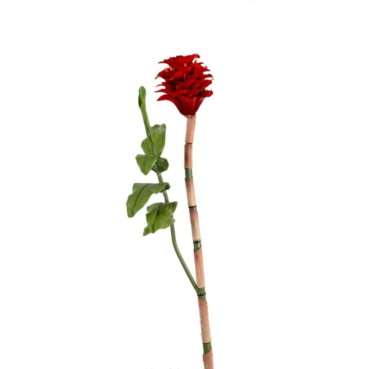 Künstliche Ingwerblume, Rot, 70 cm