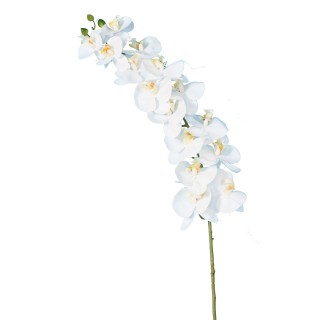 Künstliche Phalaenopsis Orchidee, Weiss, 125cm