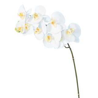 Kuenstliche Phalaenopsis Orchidee Weiss 98cm