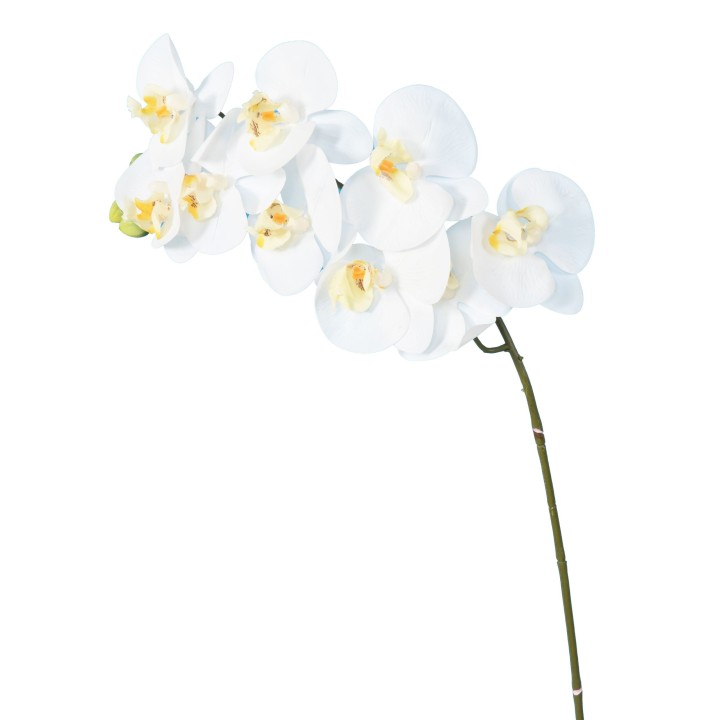Kuenstliche Phalaenopsis Orchidee Weiss 98cm