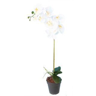 Künstliche Phalaenopsis-Orchidee Weiss 76cm