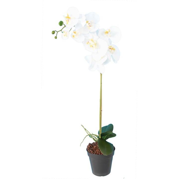 Künstliche Phalaenopsis-Orchidee Weiss 76cm