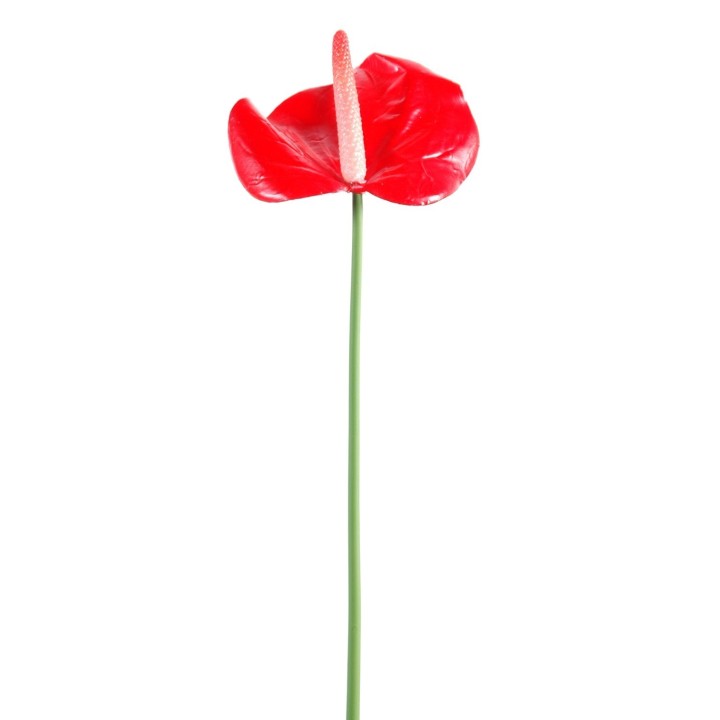Realistische Kunst-Anthurie, Rot, 60 cm - Pflegeleicht