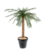 Künstliche Cycaspalmen