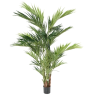 Künstliche Kentia Palmen
