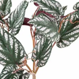 Künstliche Kleinpflanzen & Exoten