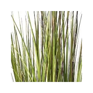 Künstliche Gräser