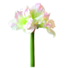 Künstliche Amaryllis