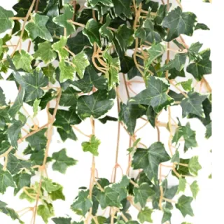 Künstliche Hängepflanzen