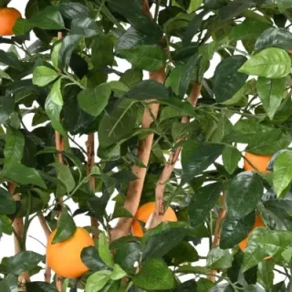 Mediterrane Kunstpflanzen