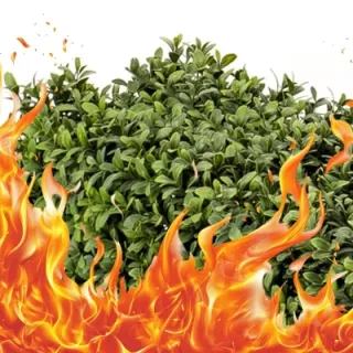 Feuerfeste Kunstpflanzen