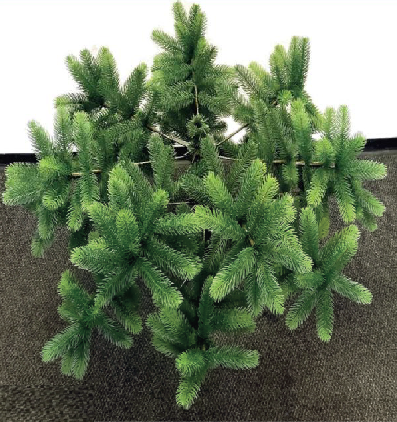 Zweige sternförmig anordnen