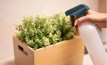 Kunstpflanzen Pflege - Die richtige Pflege leicht gemacht